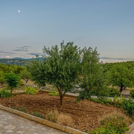 Apartmani Lana Skradin Dış mekan fotoğraf